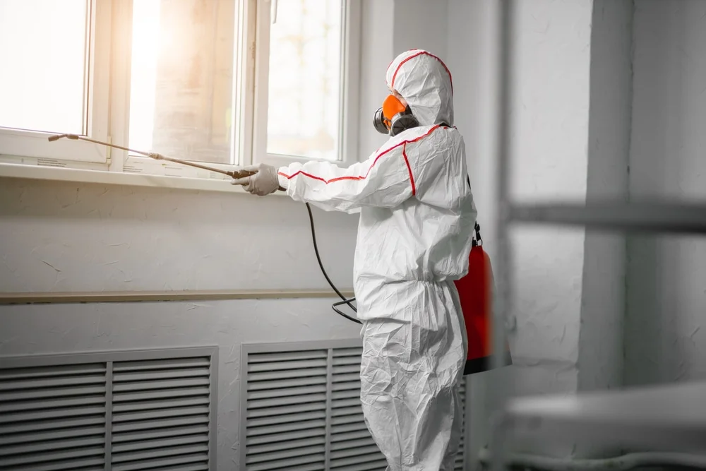 Professional mold remediation services in Flint, TX